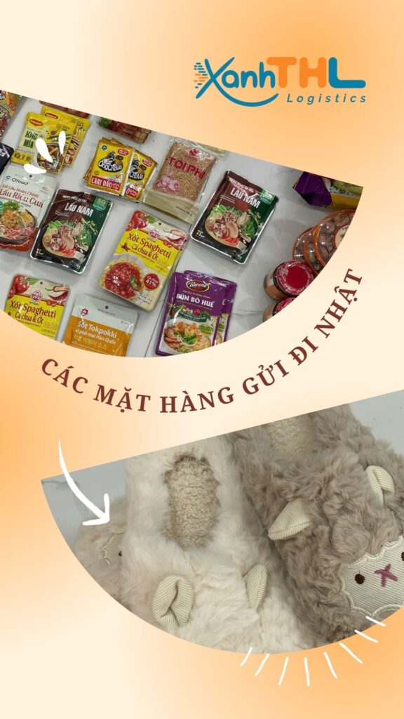 Các mặt hàng gửi đi Nhật như thực phẩm khô, gia vị, đồ cá nhân, quần áo, đồ ấm – dịch vụ vận chuyển từ Xanh THL.