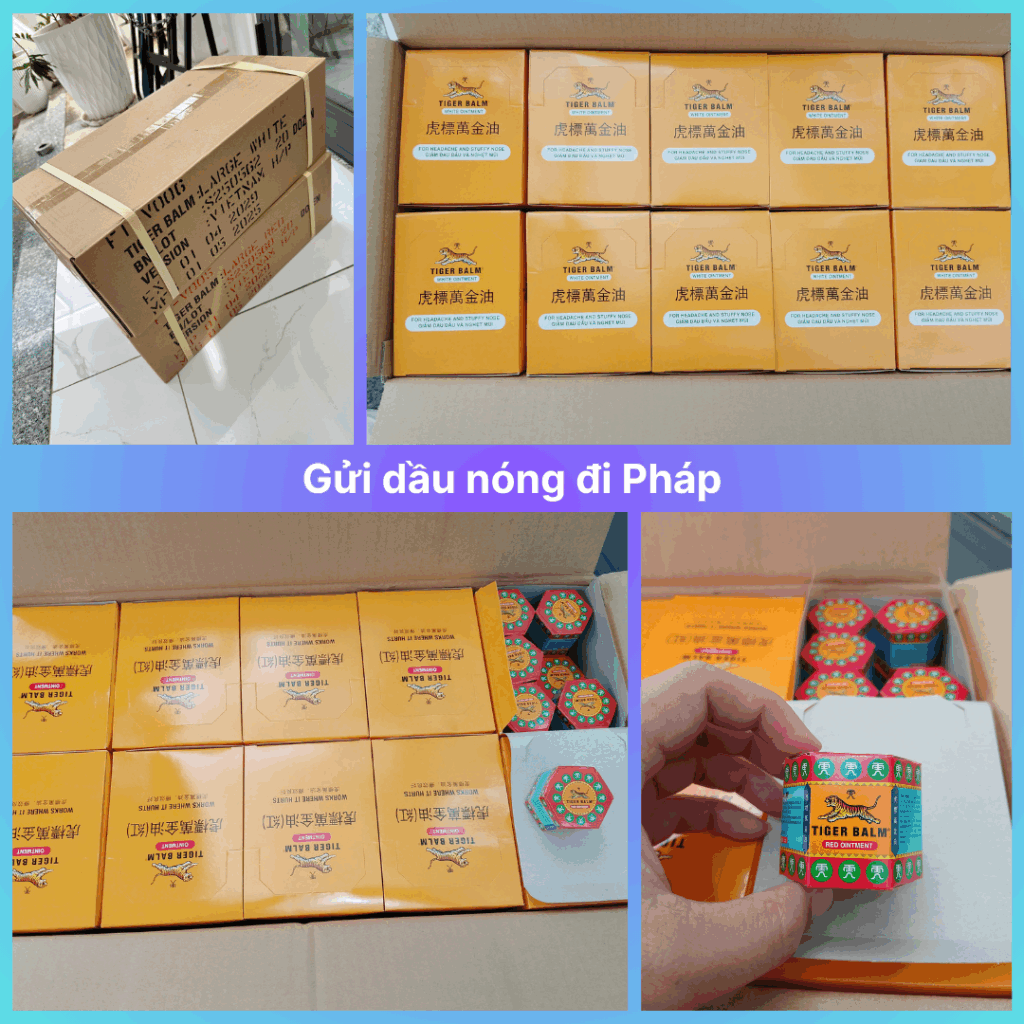 Gửi dầu nóng đi Pháp an toàn, nhanh chóng cùng Xanh THL Logistics – dịch vụ vận chuyển uy tín cho kiều bào xa quê.